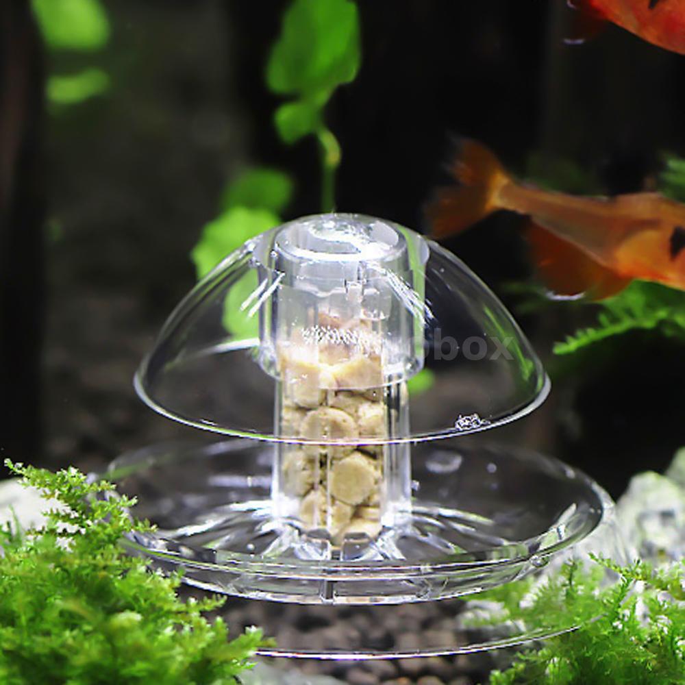 Clear Snail Trap Aquarium Fish Tank Plants Planarian Leech